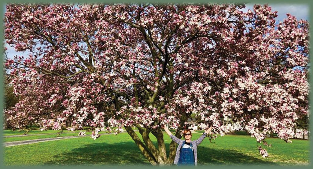 Kirsten Soul Nutrients Tree